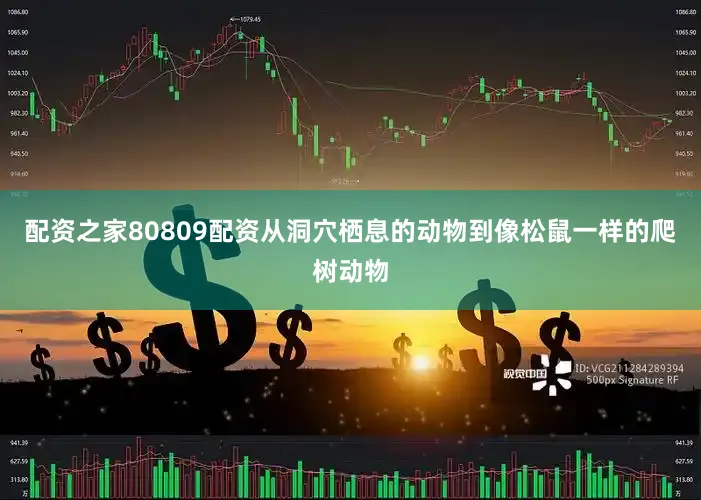 配资之家80809配资从洞穴栖息的动物到像松鼠一样的爬树动物