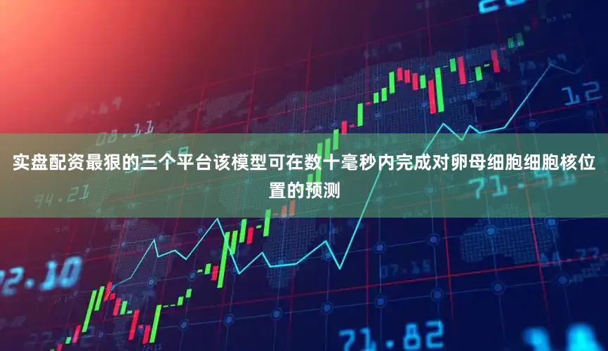 实盘配资最狠的三个平台该模型可在数十毫秒内完成对卵母细胞细胞核位置的预测